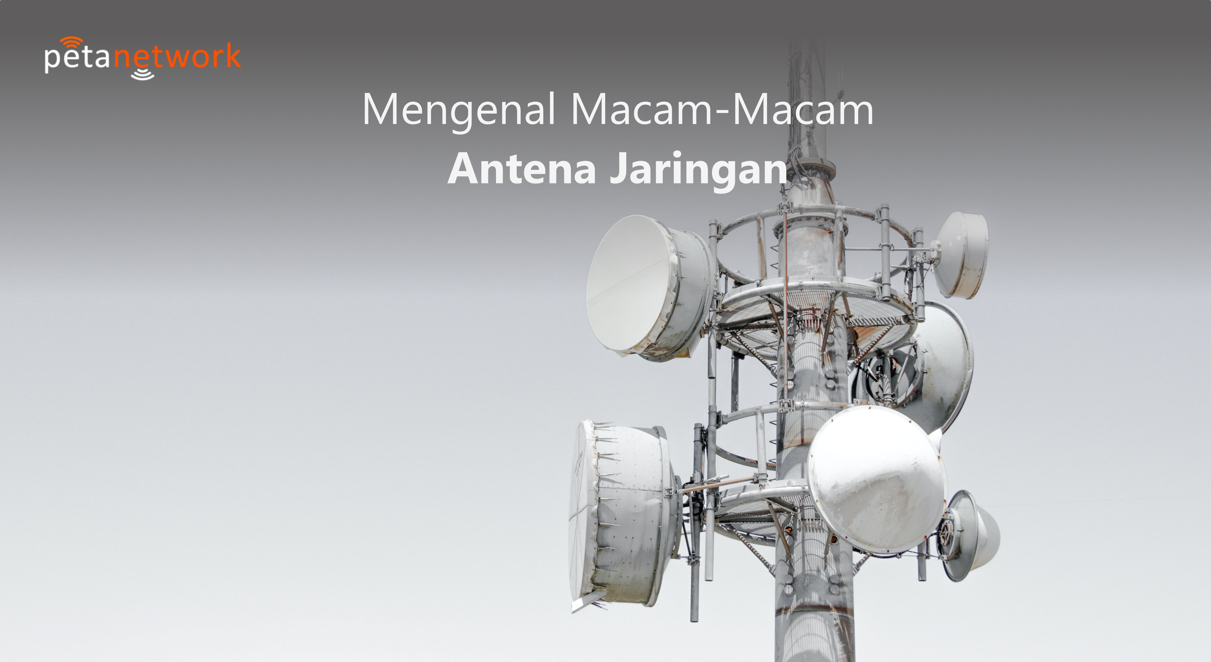 jenis antena jaringan